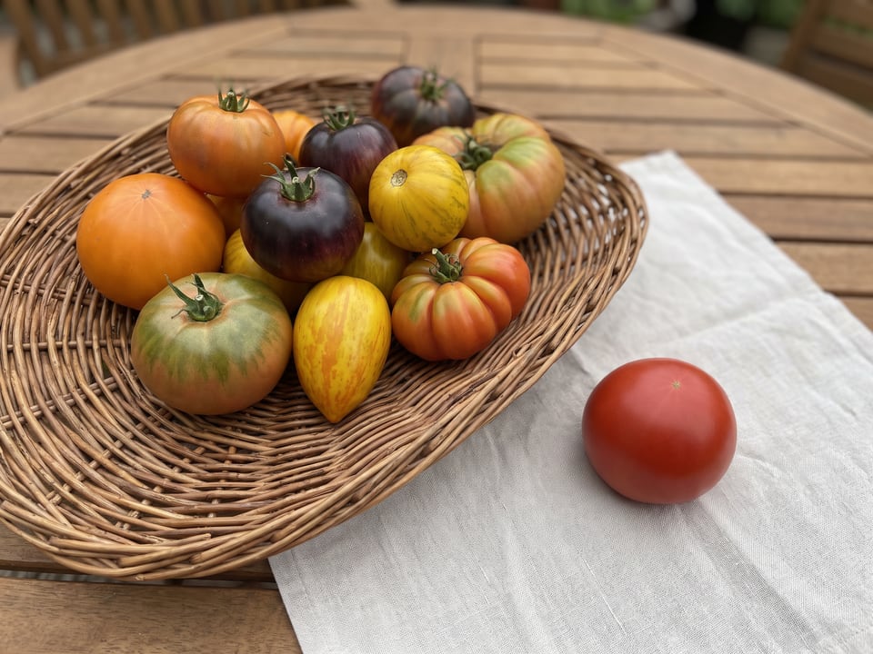 What is an heirloom tomato, and should you grow one?