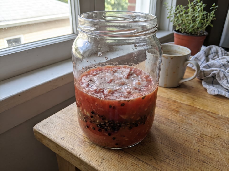 A jar of fermenting tomato pulp with a film on the surface and seeds settled at the bottom