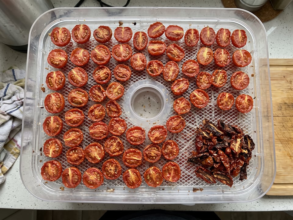 Halved small tomatoes laid cut side up on a food dehydrator tray, some fully dried and leathery in the corner