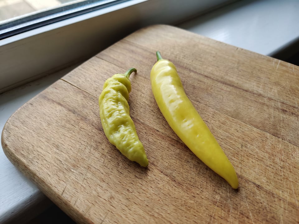 Pepperoncini vs banana pepper: the jar is what confuses everyone