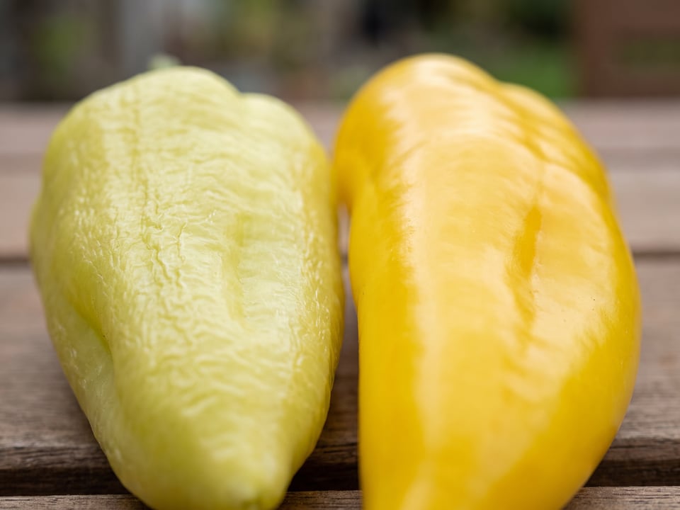 Close-up comparing wrinkled pepperoncini skin against smooth glossy banana pepper skin
