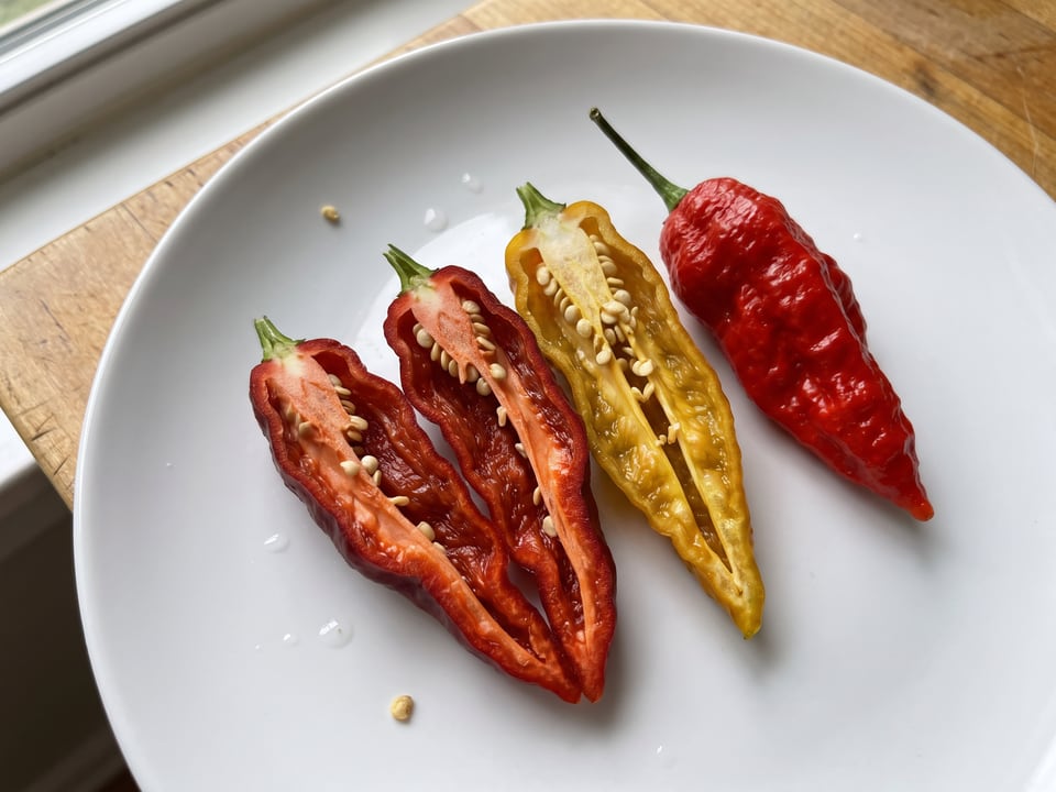 A Bhut Jolokia pepper cut open lengthwise beside a whole pod, showing the wall and seed cavity