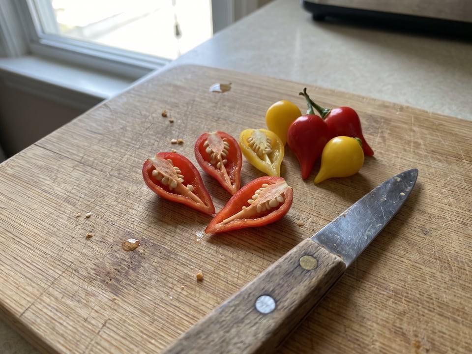 A Biquinho pepper cut open lengthwise beside a whole pod, showing the wall and seed cavity