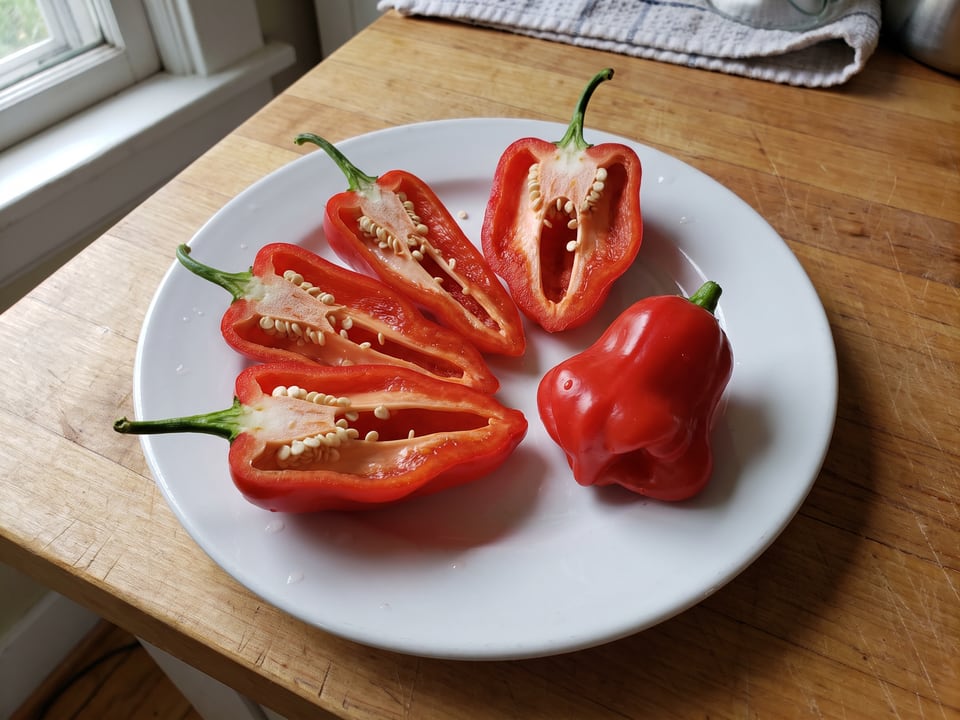 A Bishop's Crown pepper cut open lengthwise beside a whole pod, showing the wall and seed cavity