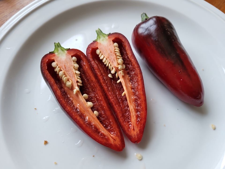 A Black Hungarian pepper cut open lengthwise beside a whole pod, showing the wall and seed cavity