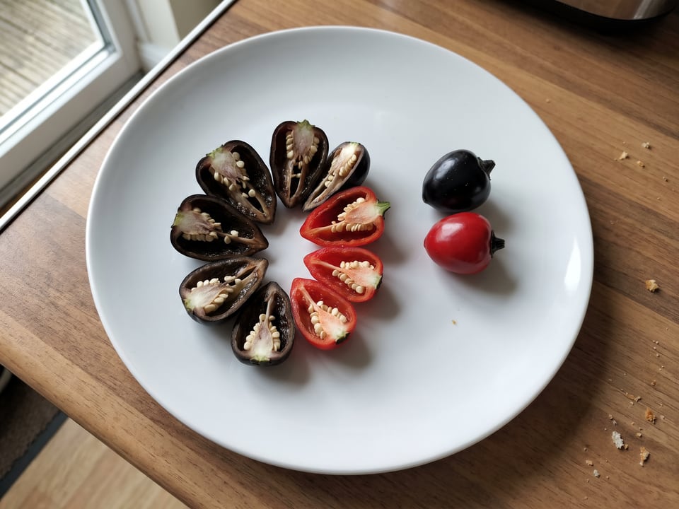A Black Pearl pepper cut open lengthwise beside a whole pod, showing the wall and seed cavity