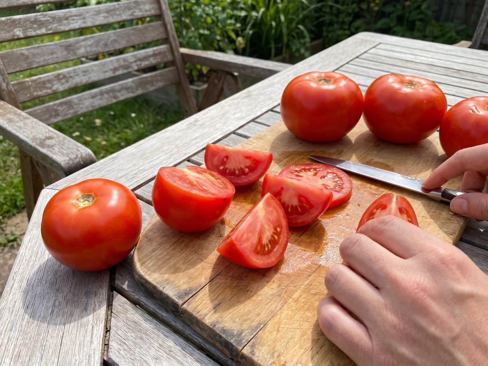 Bobcat tomato sliced in the kitchen