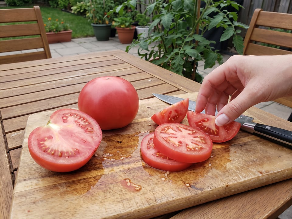 Brandy Boy tomato sliced in the kitchen