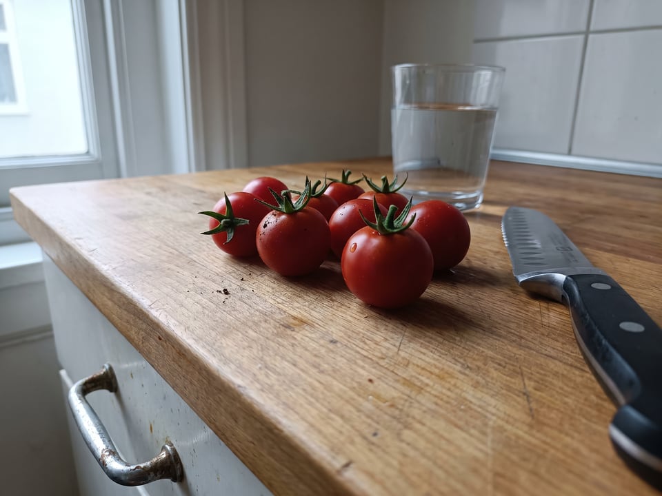 Freshly picked Campari tomatoes