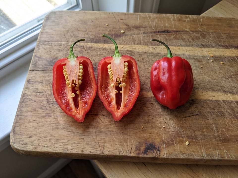 A Caribbean Red pepper cut open lengthwise beside a whole pod, showing the wall and seed cavity