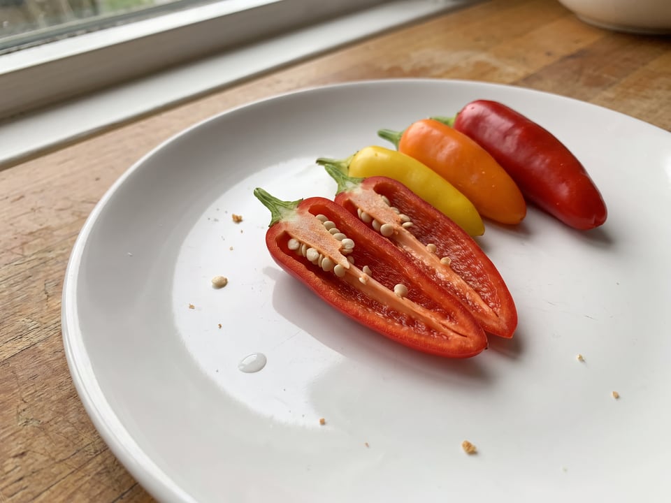 A Cascabella pepper cut open lengthwise beside a whole pod, showing the wall and seed cavity