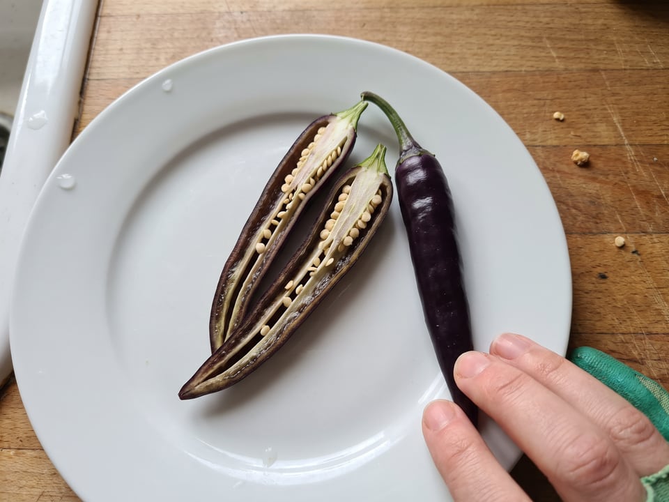 A Cayenne Purple pepper cut open lengthwise beside a whole pod, showing the wall and seed cavity