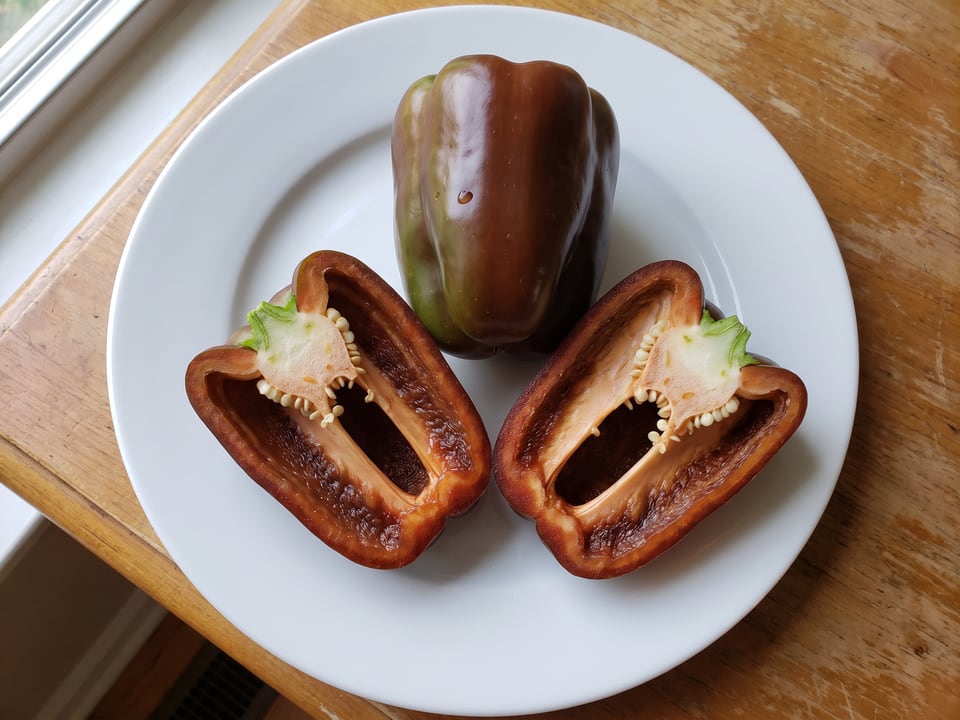 A Chocolate Beauty pepper cut open lengthwise beside a whole pod, showing the wall and seed cavity
