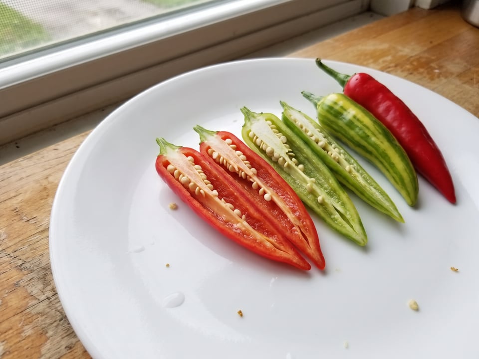 A Fish pepper cut open lengthwise beside a whole pod, showing the wall and seed cavity