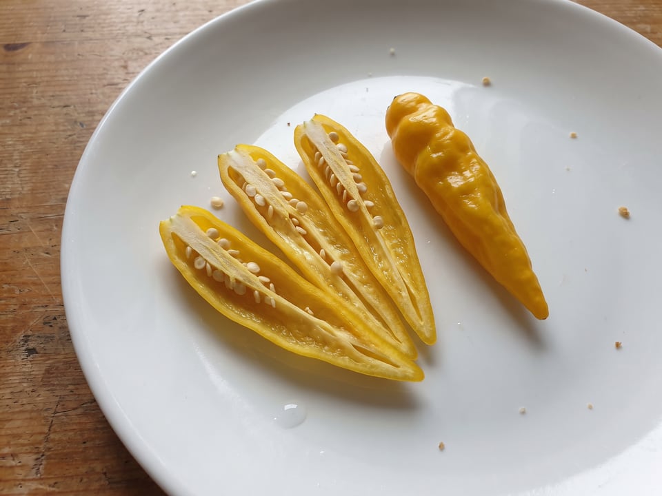 A Lemon Drop pepper cut open lengthwise beside a whole pod, showing the wall and seed cavity
