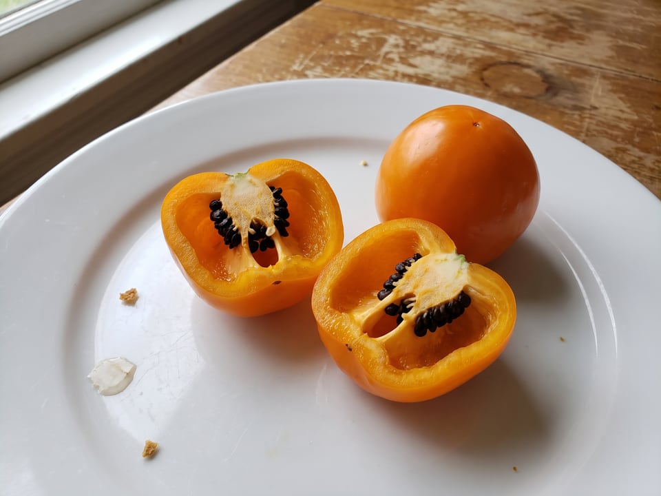 A Manzano pepper cut open lengthwise beside a whole pod, showing the wall and seed cavity