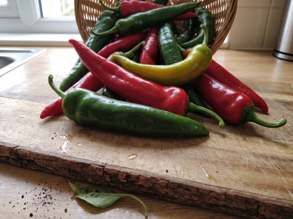 Freshly picked Marconi Red peppers
