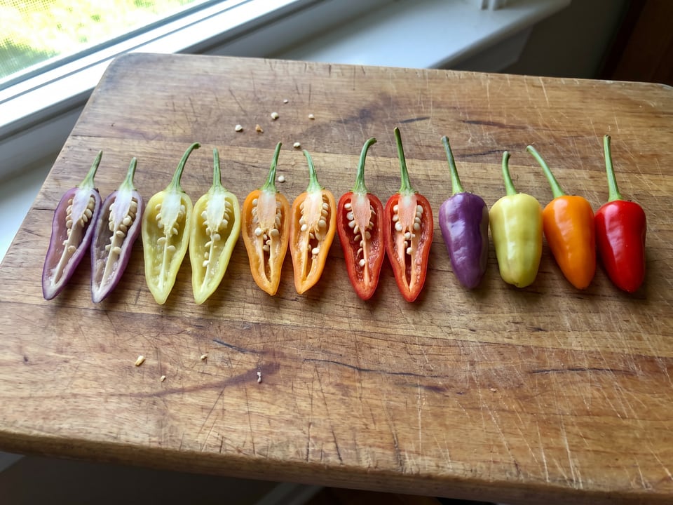 A NuMex Twilight pepper cut open lengthwise beside a whole pod, showing the wall and seed cavity