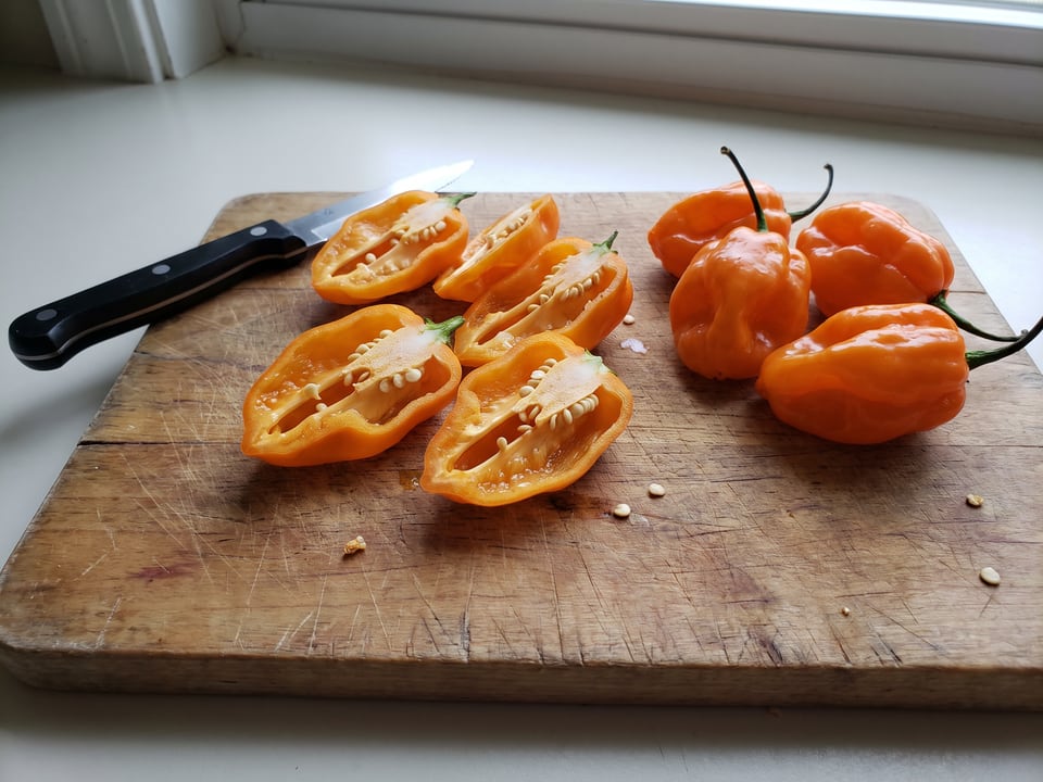 A Orange Habanero pepper cut open lengthwise beside a whole pod, showing the wall and seed cavity