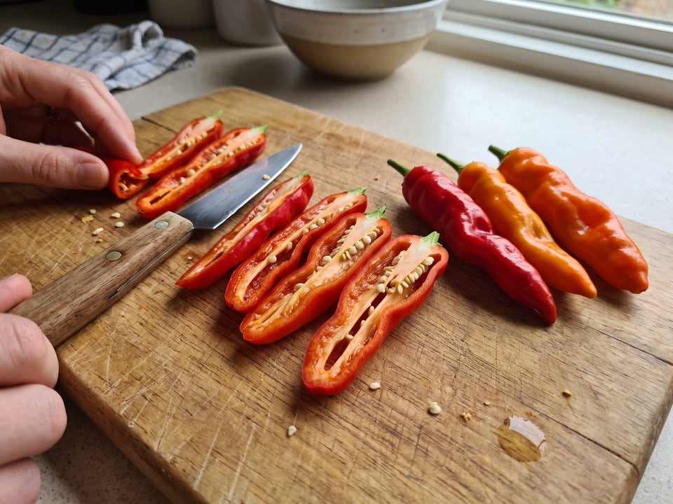 A Peter pepper cut open lengthwise beside a whole pod, showing the wall and seed cavity