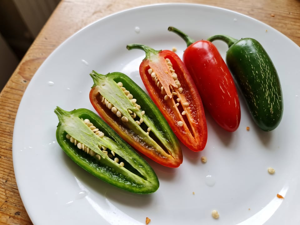 A TAM Jalapeno pepper cut open lengthwise beside a whole pod, showing the wall and seed cavity