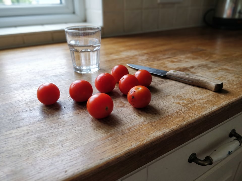 Freshly picked Tumbling Tom tomatoes